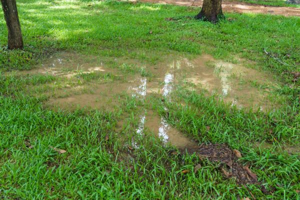 Cost of Storm Water Drainage Service in Saratoga Springs
