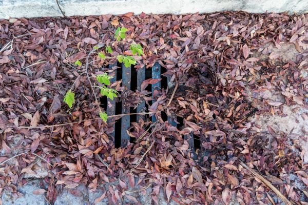 Cost of Yard Drain Unclogging in Saratoga Springs