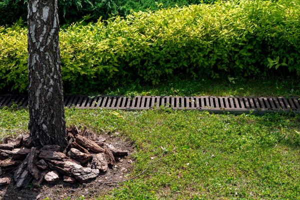 Cost of Wet Yard Drainage in Saratoga Springs