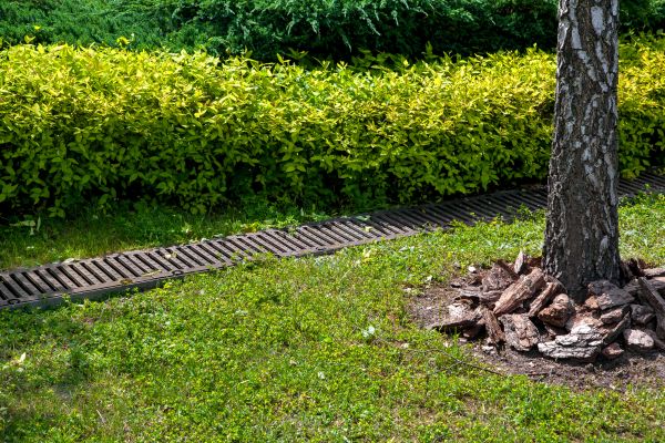 Cost of Residential Landscape Drainage in Saratoga Springs