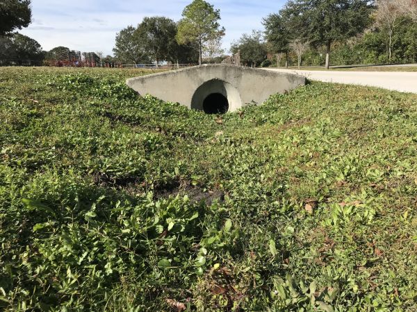 Cost of Swale Drainage Service in Saratoga Springs